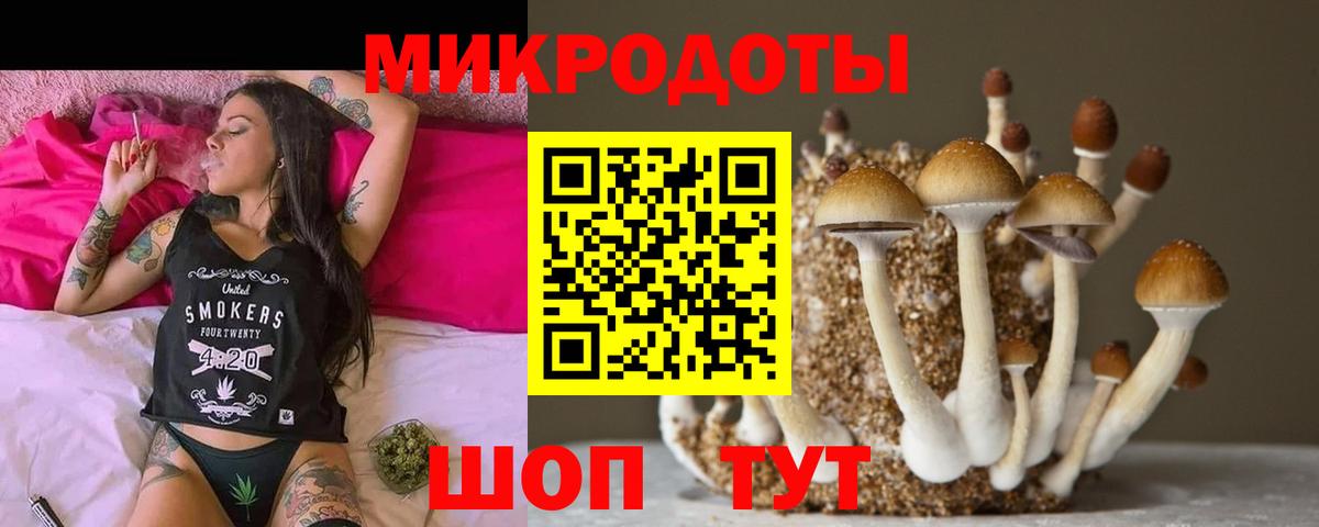 Псилоцибиновые грибы GOLDEN TEACHER  Вход с VPN  Касимов 