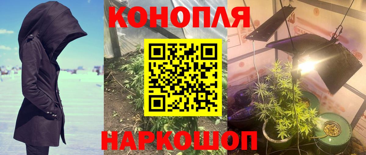 Бошки марихуана Amnesia  Бошки Шишки VHQ  Вход с VPN  Касимов  Каннабис ГИДРОПОН 